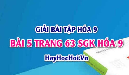 Giải bài 5 trang 63 SGK Hóa 9: Hợp kim của Sắt: Gang và Thép